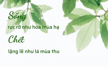 SỐNG NHƯ HOA MÙA HẠ, CHẾT NHƯ LÁ MÙA THU